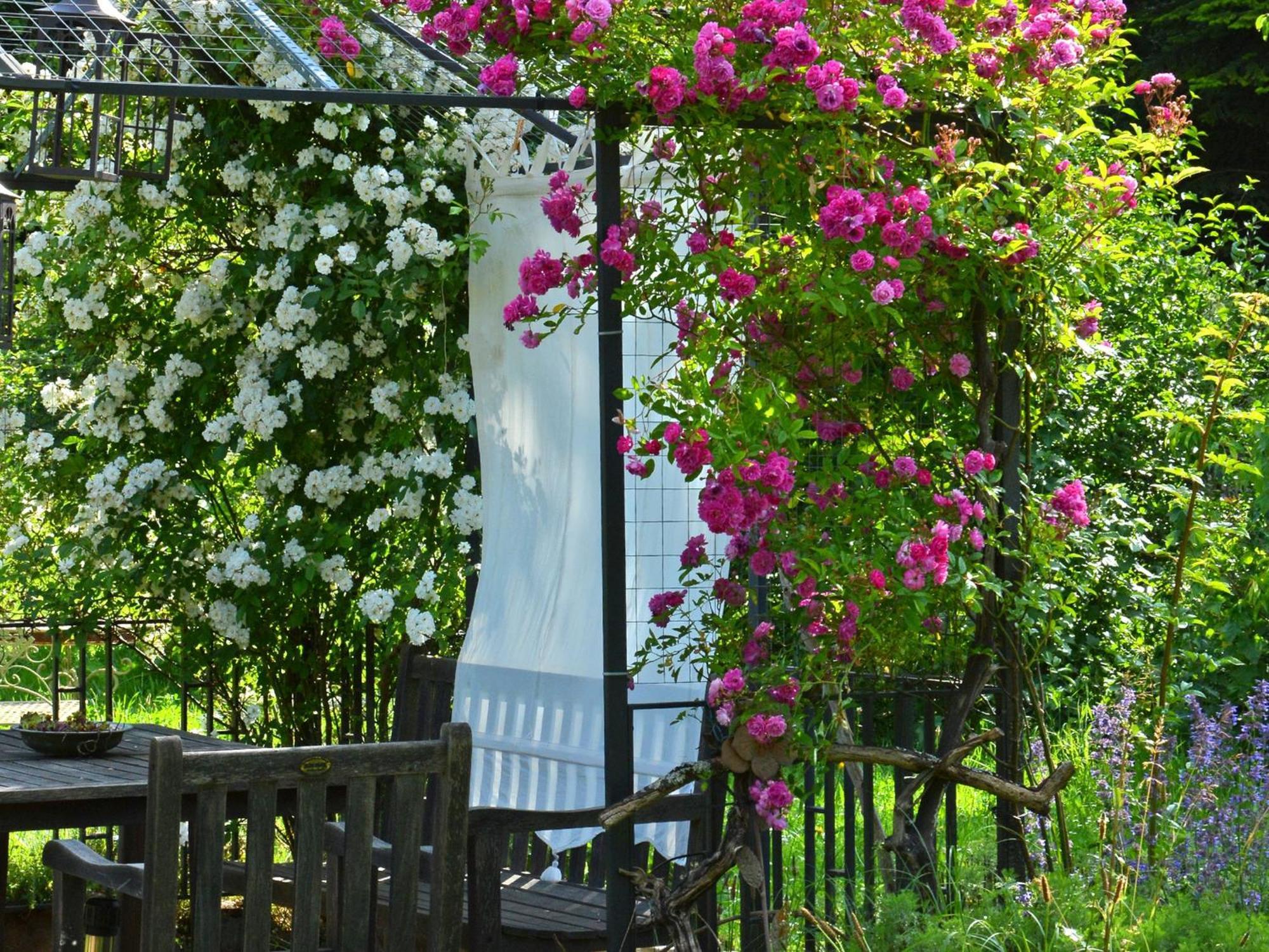 Ferienwohnung Im VitalArt Naturgarten Zweibrücken Exterior foto